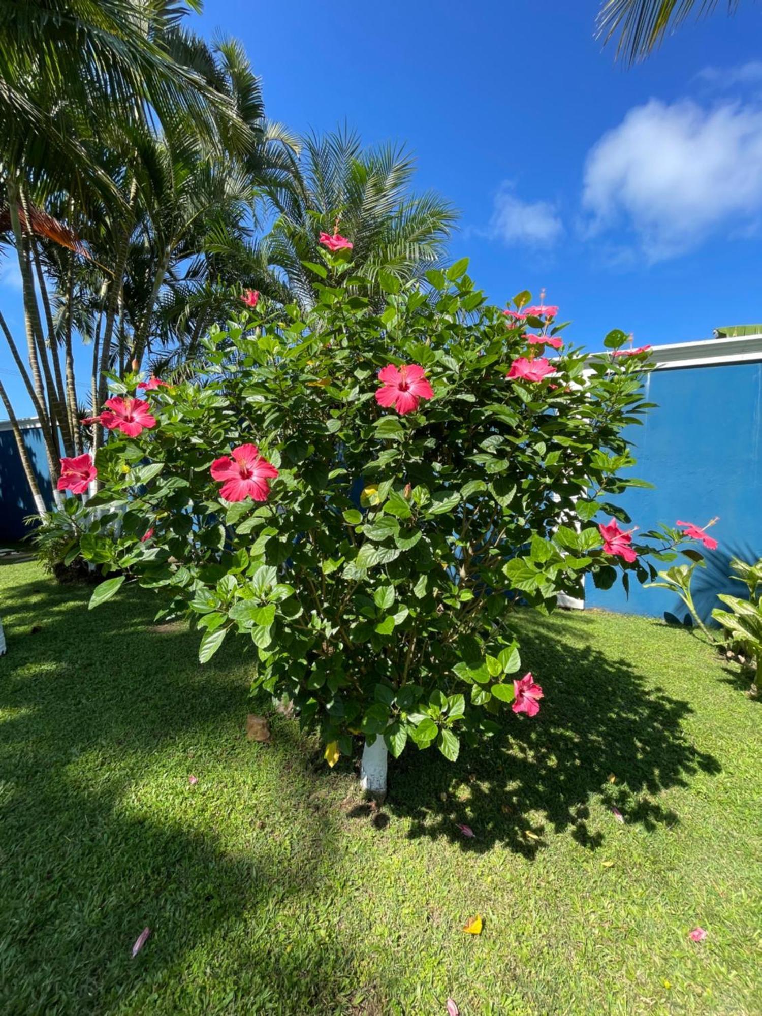 Recanto Divino - Pe Na Areia - Quartos Host Guaruja Exterior photo